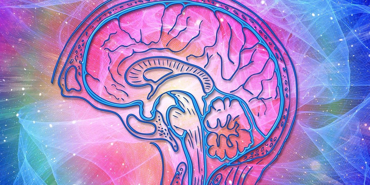 colorful cartoon of a brain