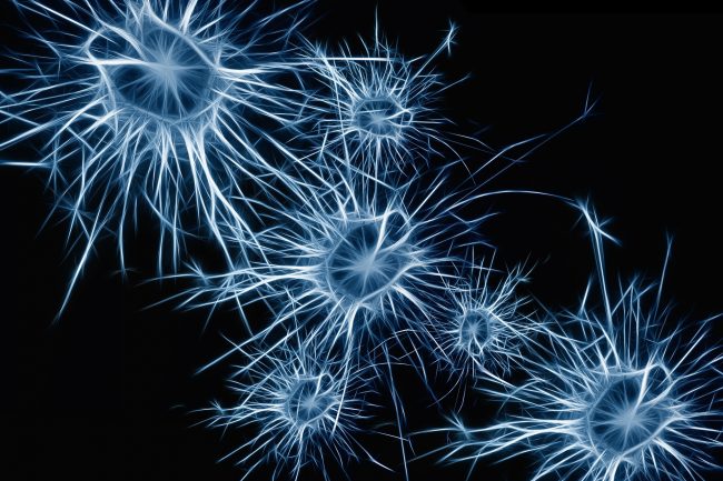 Image of blue and white brain neurons against a black background.
