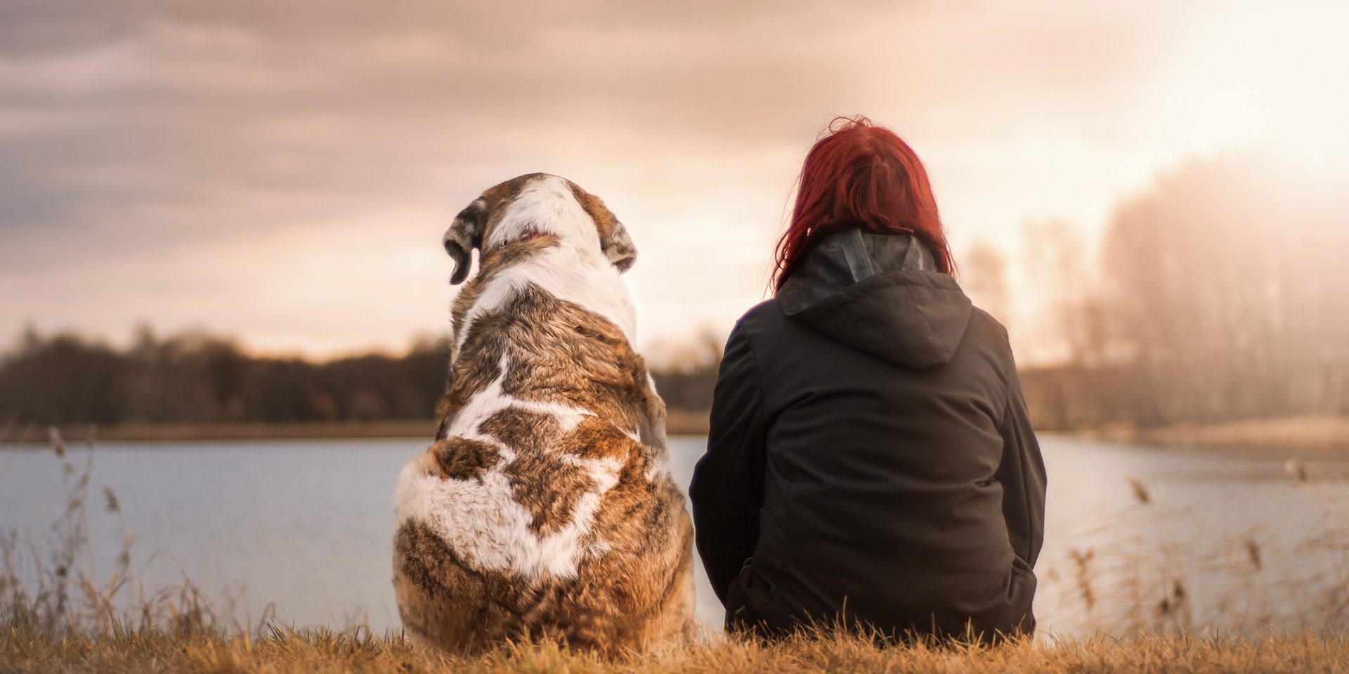 Woman sits on grass with dog overlooking body of water