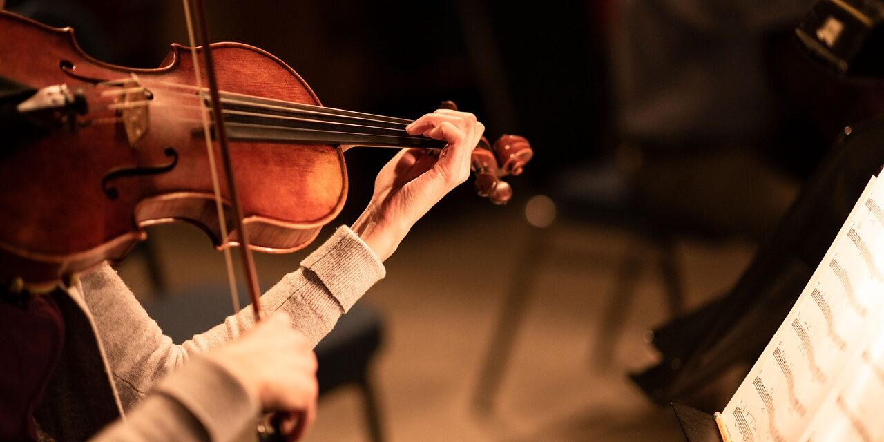 violin 5842730 1280 violin 5842730 1280