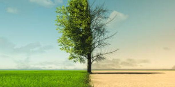 5c0b0e4f cf97 7097 d2f0 f3a231c76958