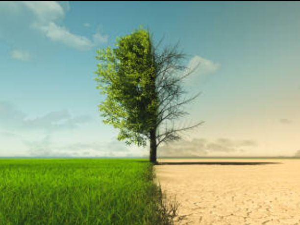 5c0b0e4f cf97 7097 d2f0 f3a231c76958 5c0b0e4f cf97 7097 d2f0 f3a231c76958