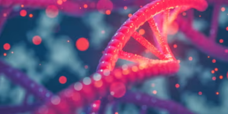 80efe26e eb95 f56a ad56 02de0c535c4e