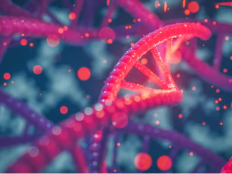 80efe26e eb95 f56a ad56 02de0c535c4e