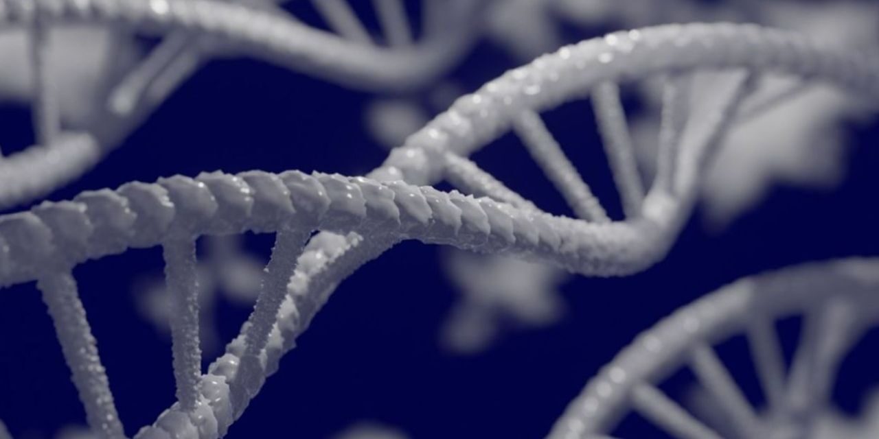 d592905f 2d8a 0f10 822a dcd11060118e DNA