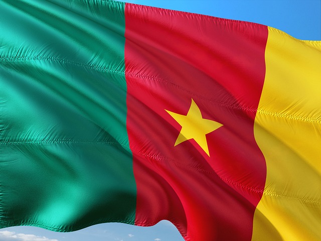Cameroon Flag