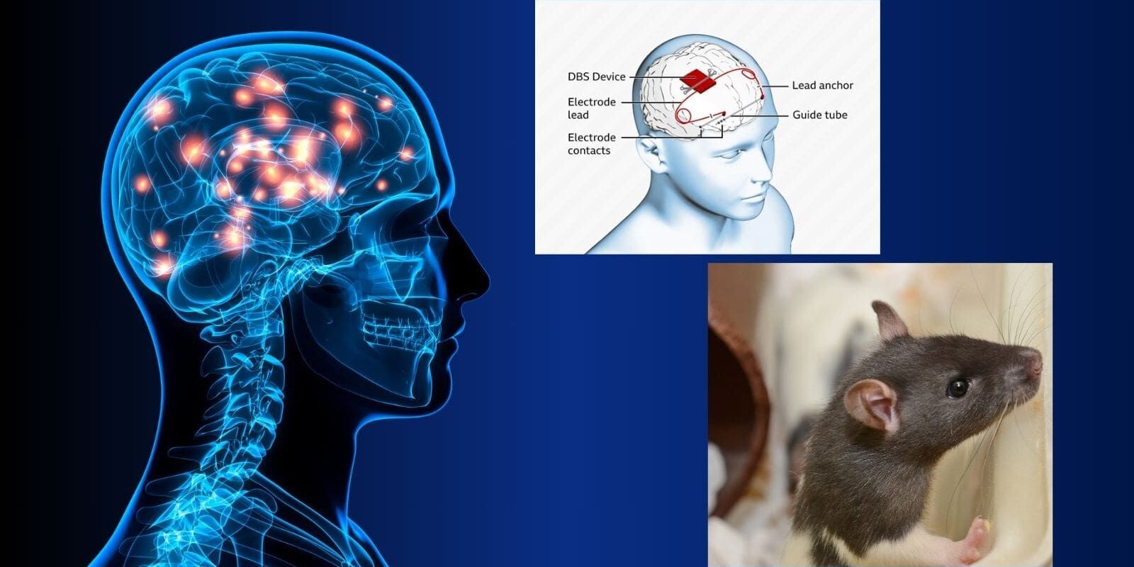 UAR Website Article min