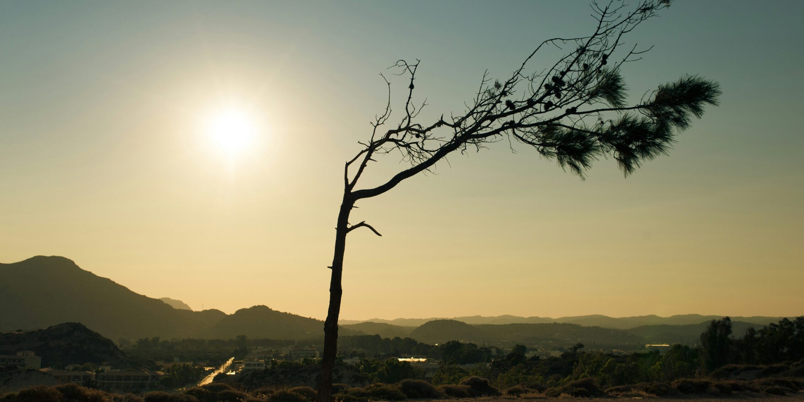 elimende inagella BSPFNDUckoU unsplash