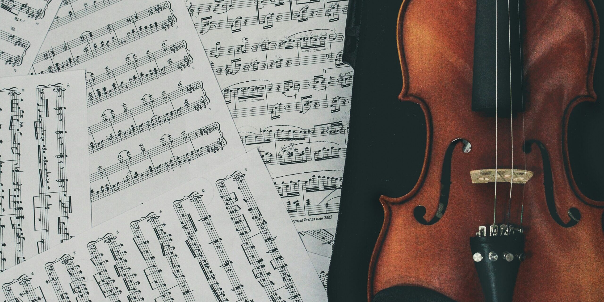 stefany andrade GbSCAAsU2Fo unsplash stefany andrade GbSCAAsU2Fo unsplash