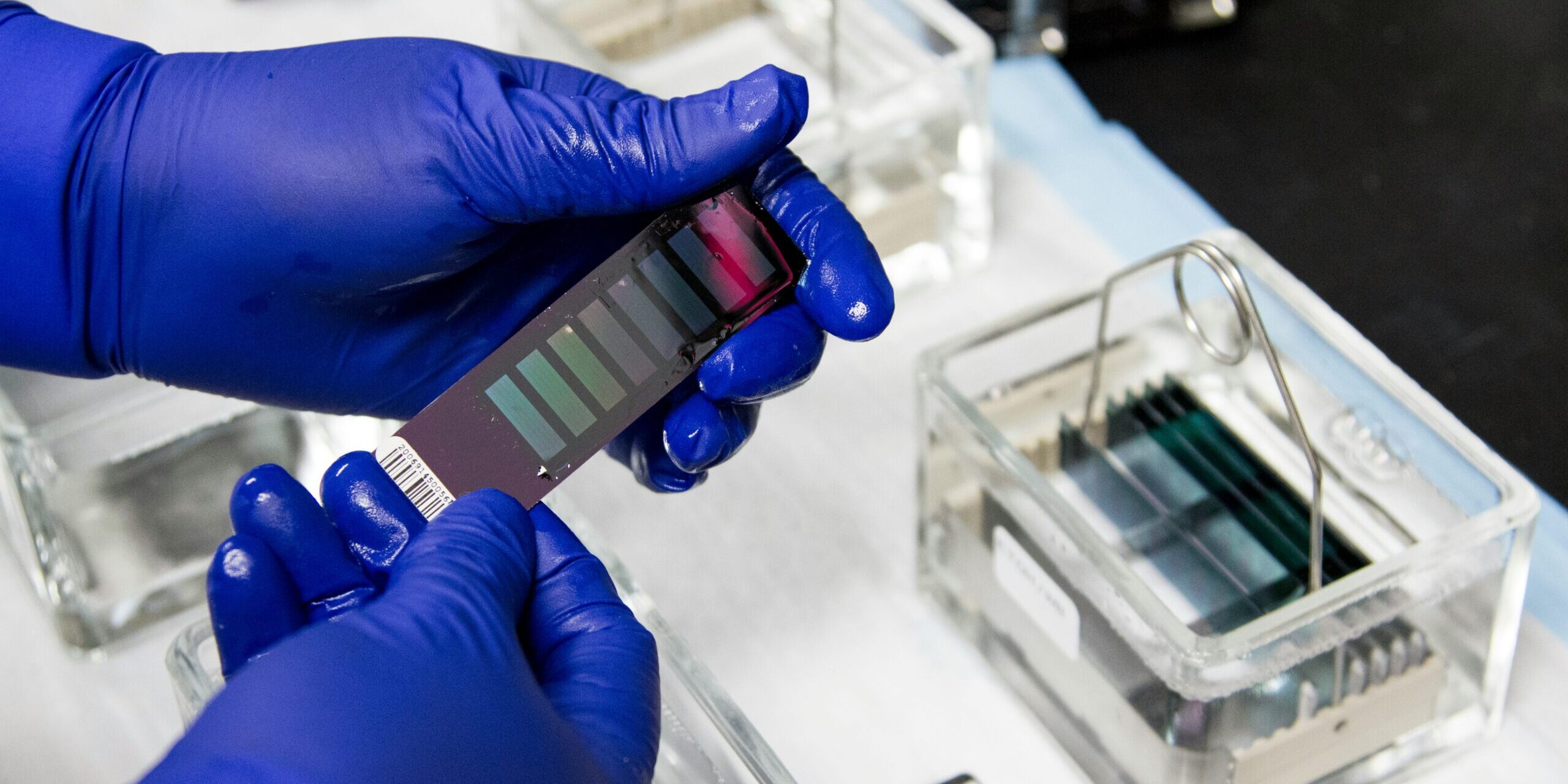 national cancer institute W6yy0wYV hk unsplash