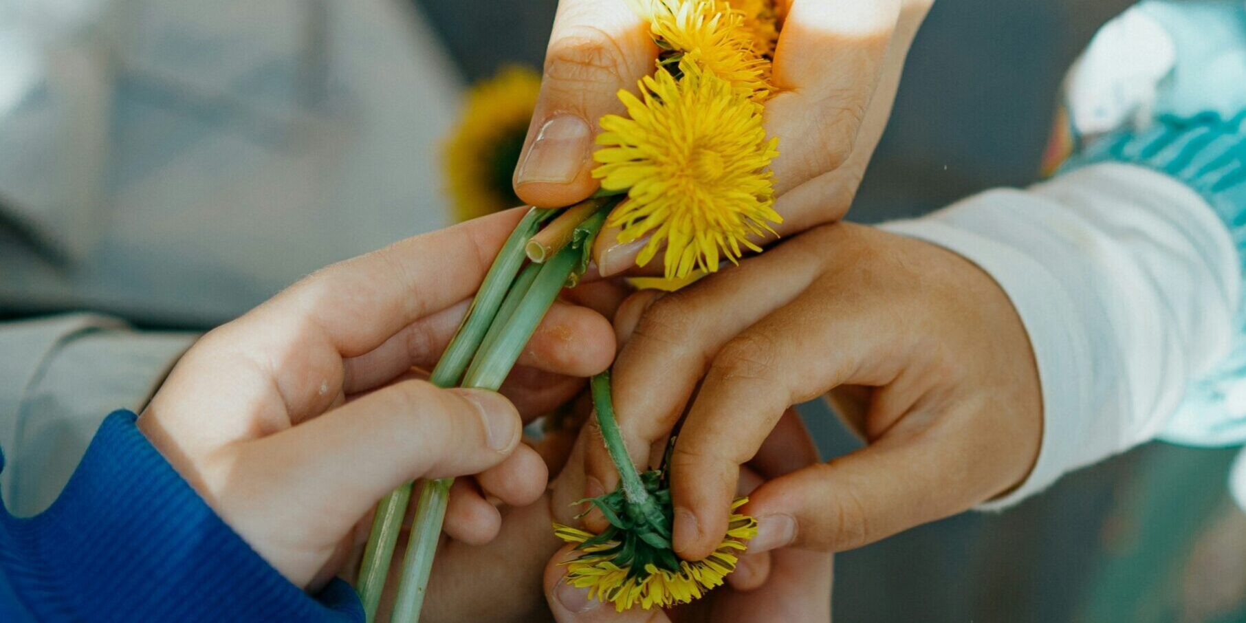 andrey k CwCl9wMKuv0 unsplash