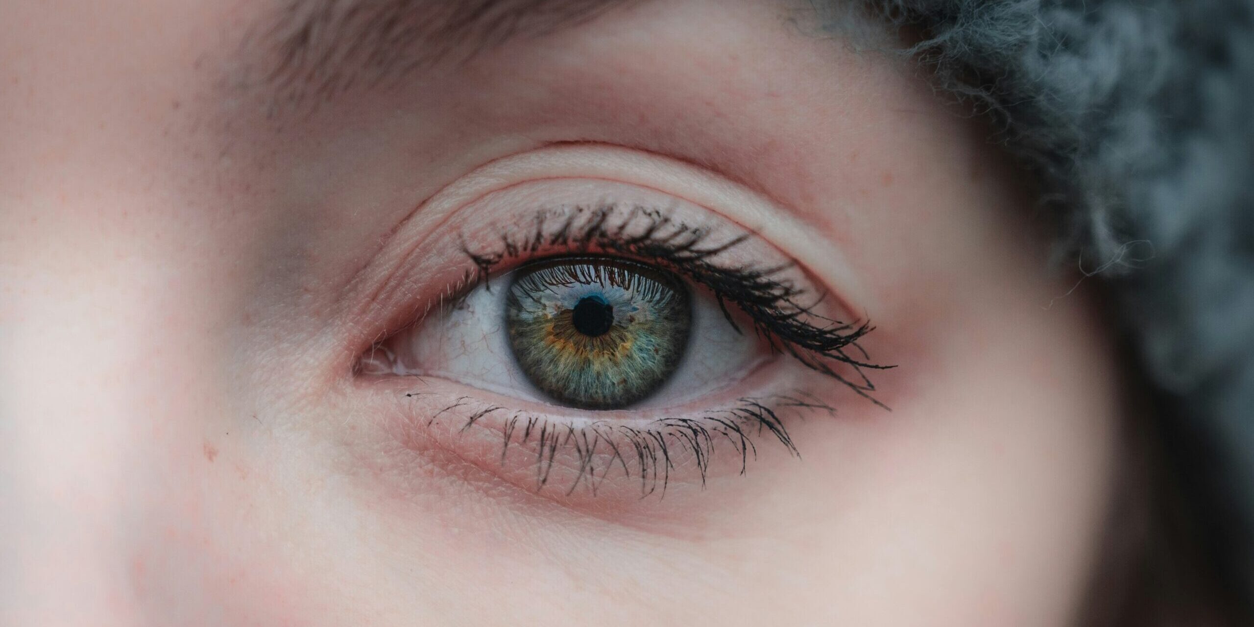 mike van den bos IgxLwkGbOkI unsplash