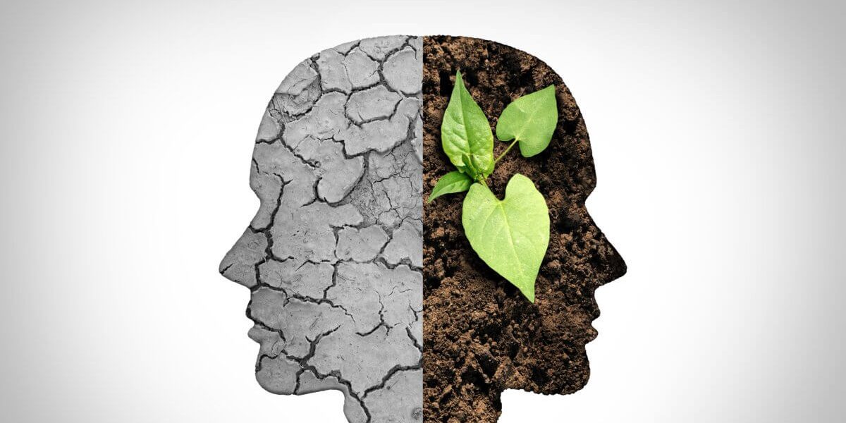 brain climate 1200×695 brain climate 1200x695