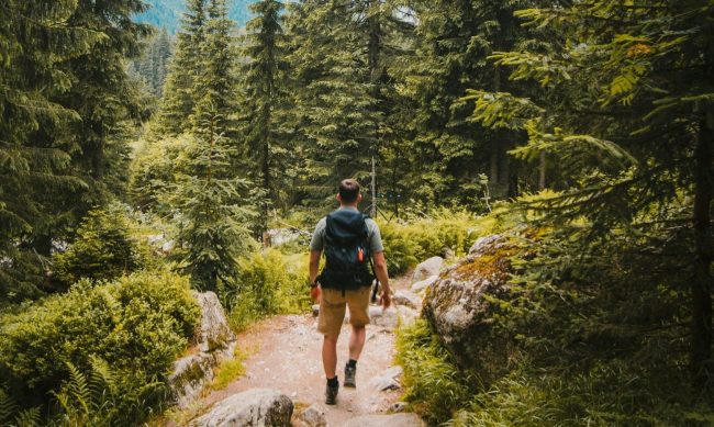 josh hild YvxTVlxhd6A unsplash