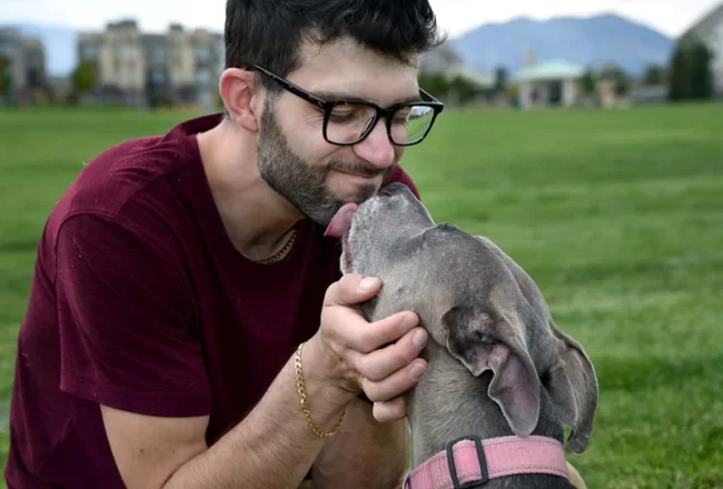 Lesner pitbull kiss AvsFan web