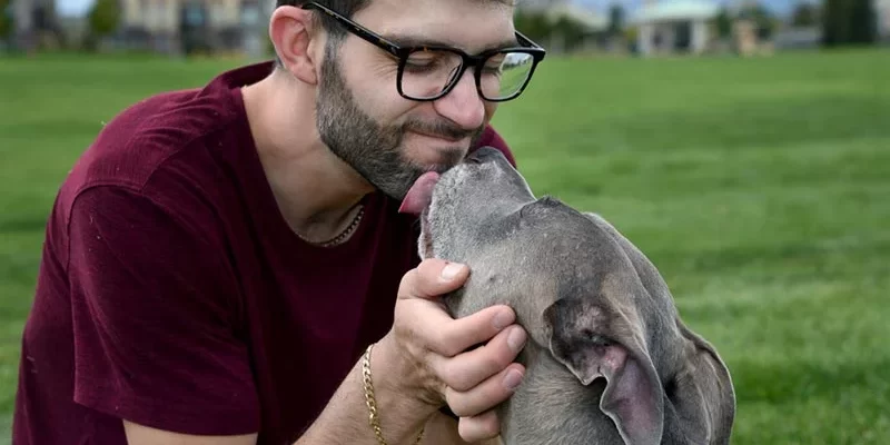 Lesner pitbull kiss AvsFan web