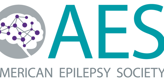AES Logo